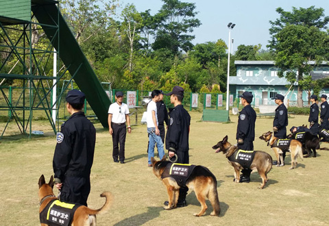 中國保安三十周年攝影拍攝花絮